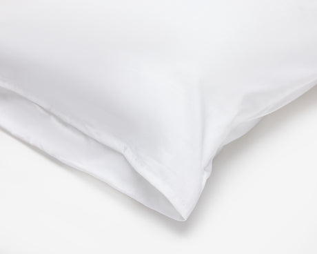 Pillow Protector with Flap | 120 Units Case Pack