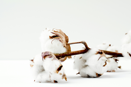 100% Cotton : Classic Comfort and Durability